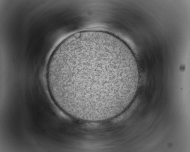 X0000103901470200810311358