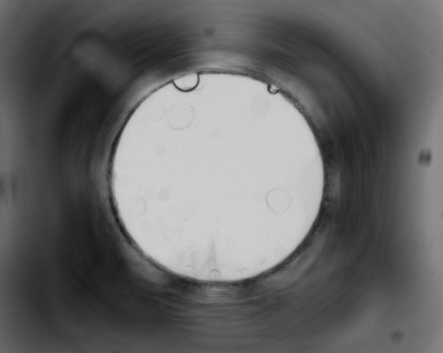 X0000103901471200810311358