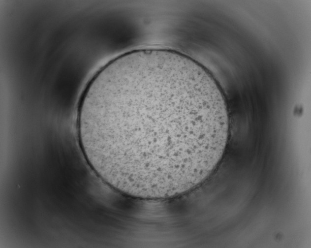 X0000103901472200810311358