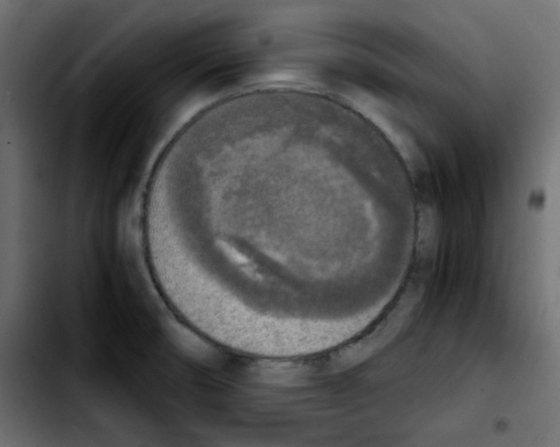 X0000103901474200810311358