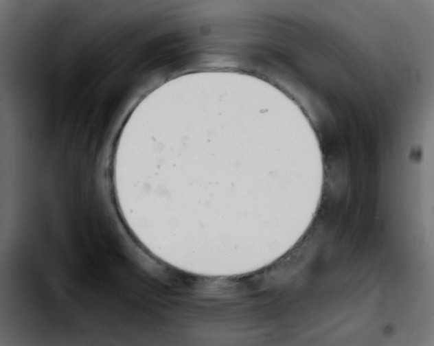 X0000103901475200810311358