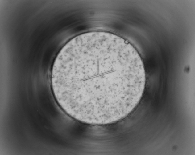 X0000103901476200810311358