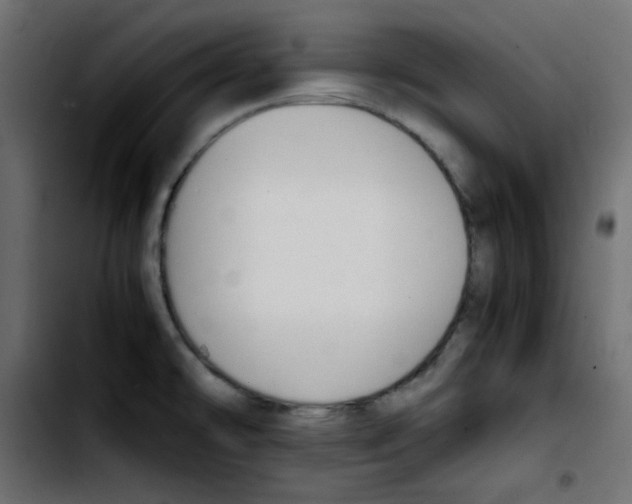 X0000103901478200810311358