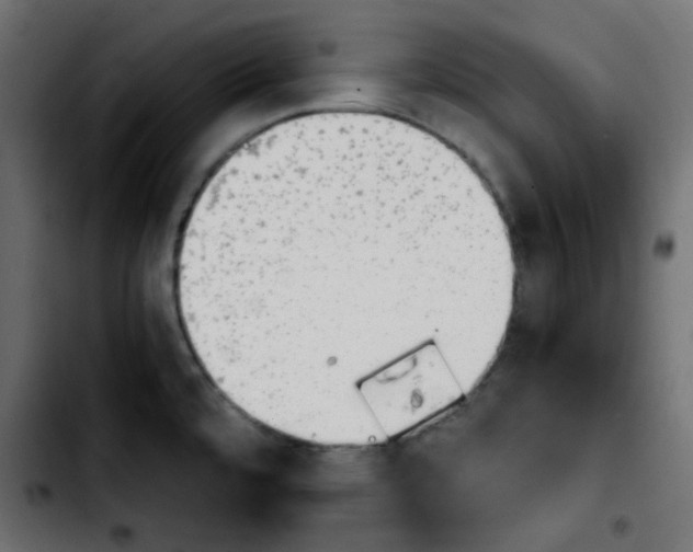 X0000103901480200810311358