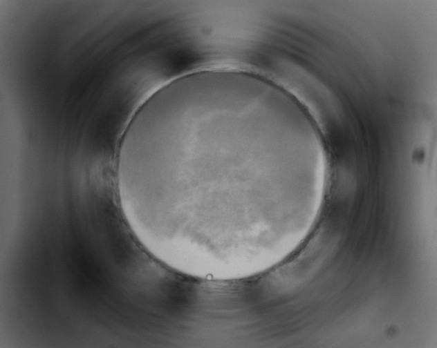 X0000103901481200810311358