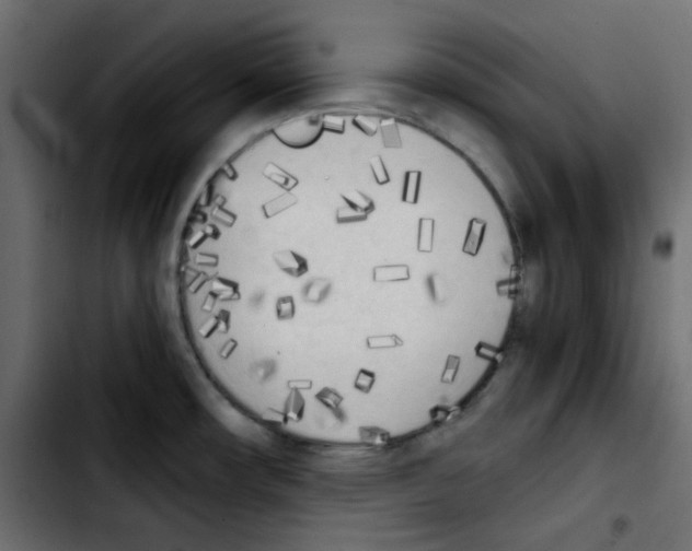 X0000103901482200810311358