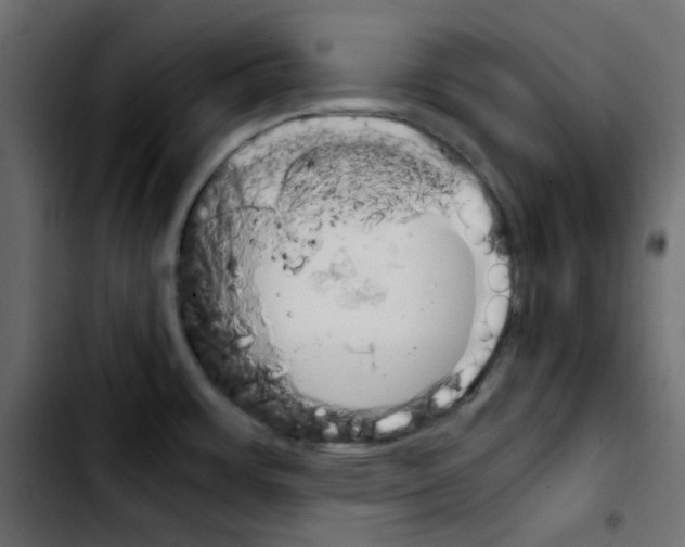 X0000103901483200810311358