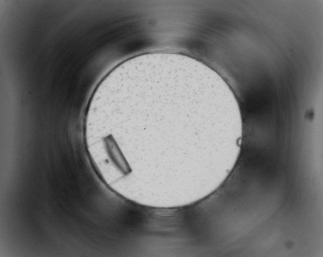 X0000103901484200810311358