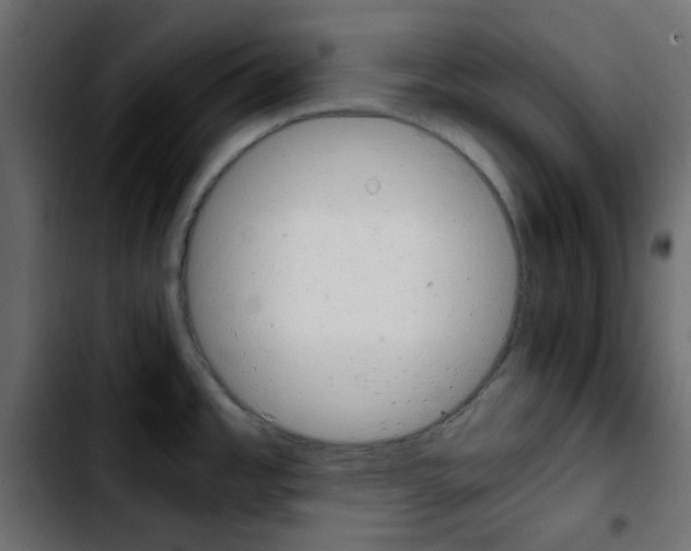 X0000103901485200810311358