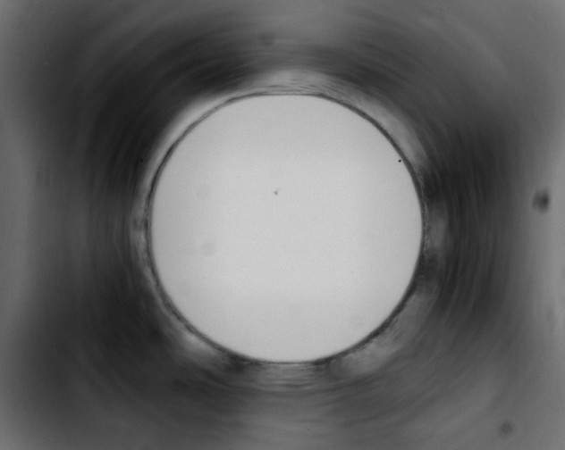 X0000103901486200810311358