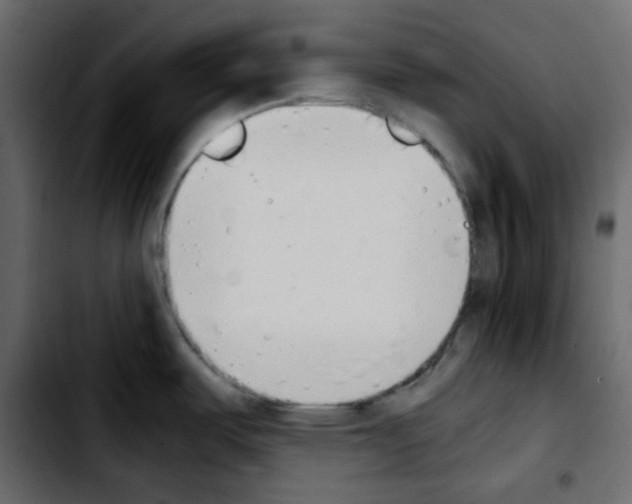 X0000103901487200810311358