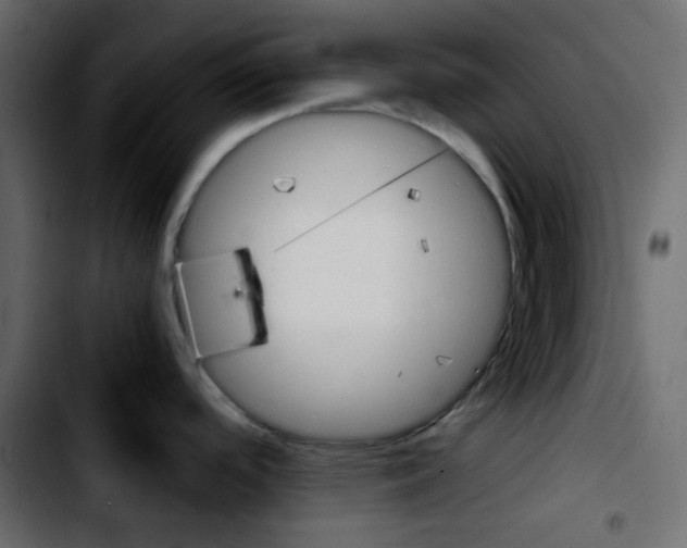 X0000103901488200810311358