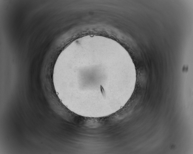 X0000103901489200810311357