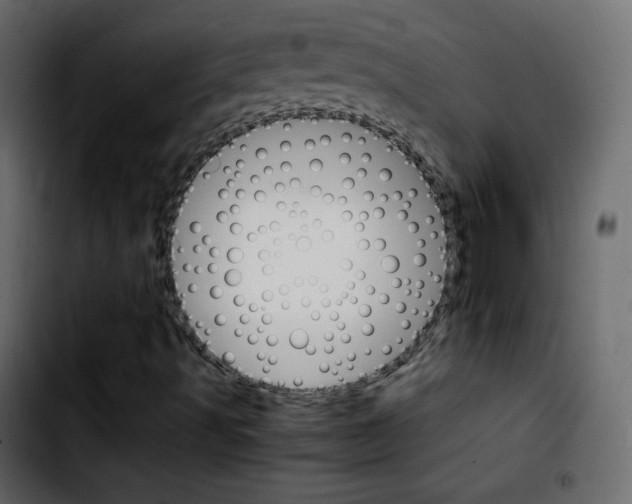 X0000103901491200810311357