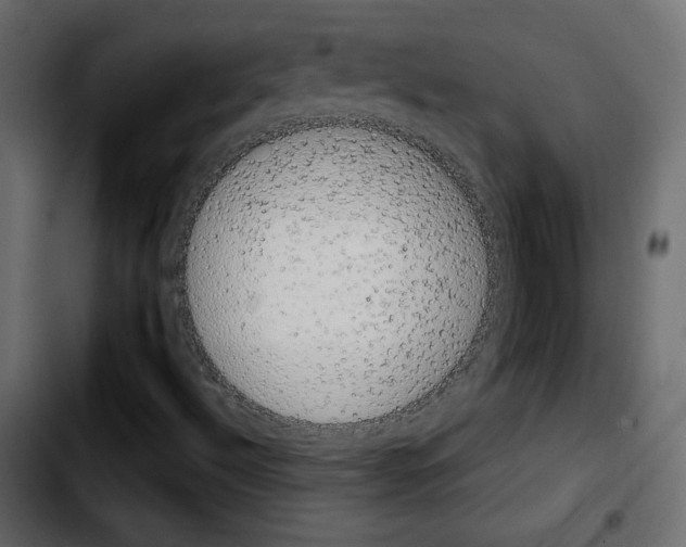 X0000103901492200810311357