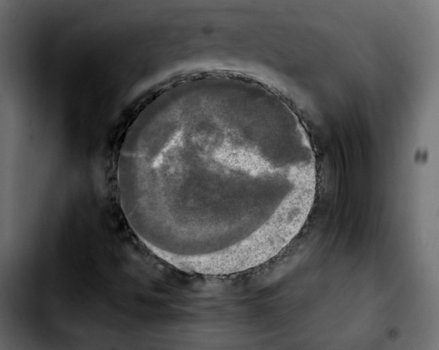 X0000103901494200810311357