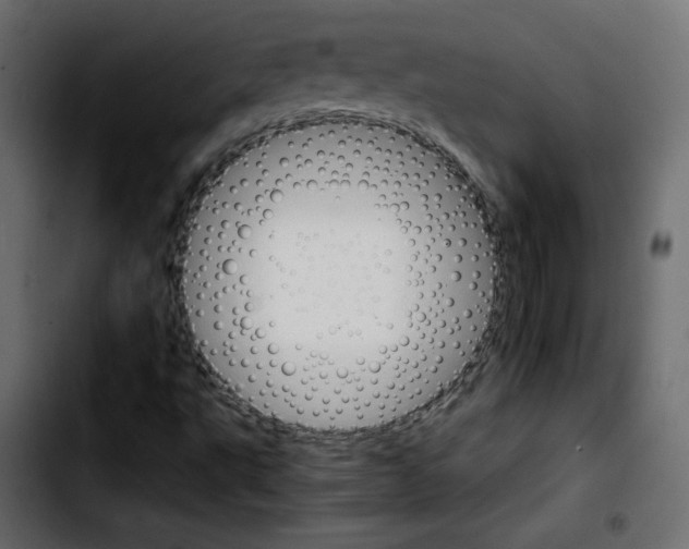 X0000103901495200810311357