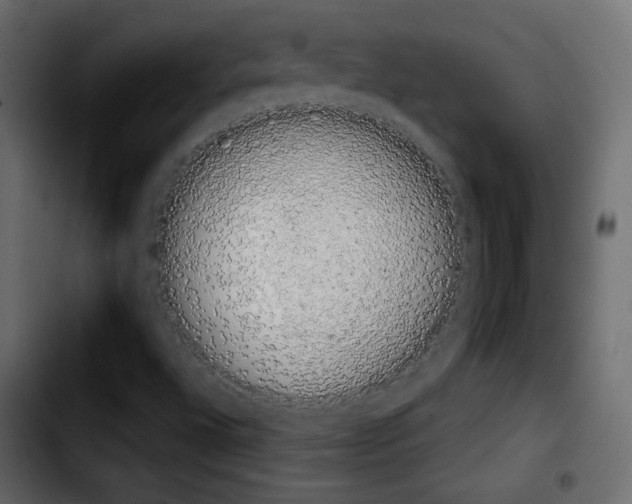 X0000103901496200810311357