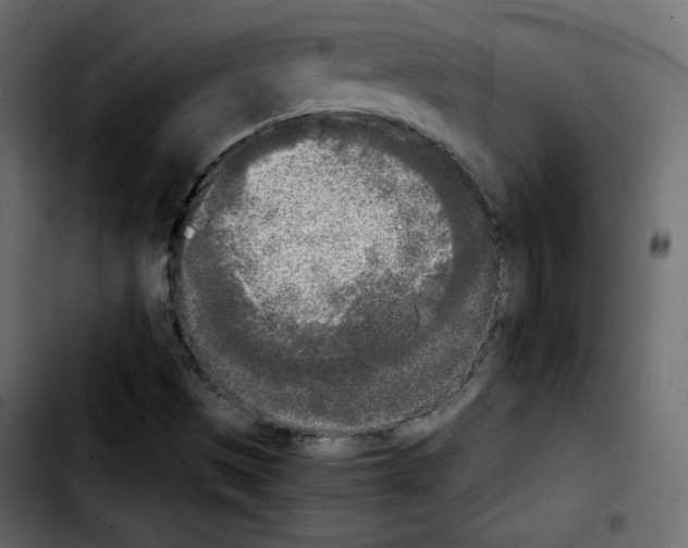 X0000103901497200810311357