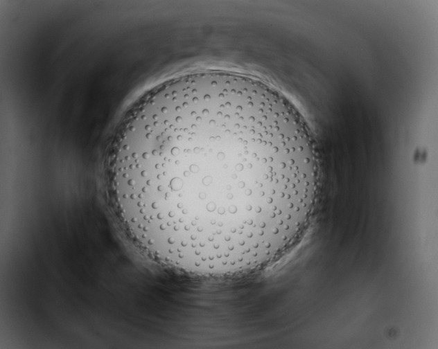 X0000103901499200810311357