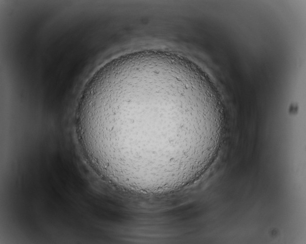 X0000103901500200810311357