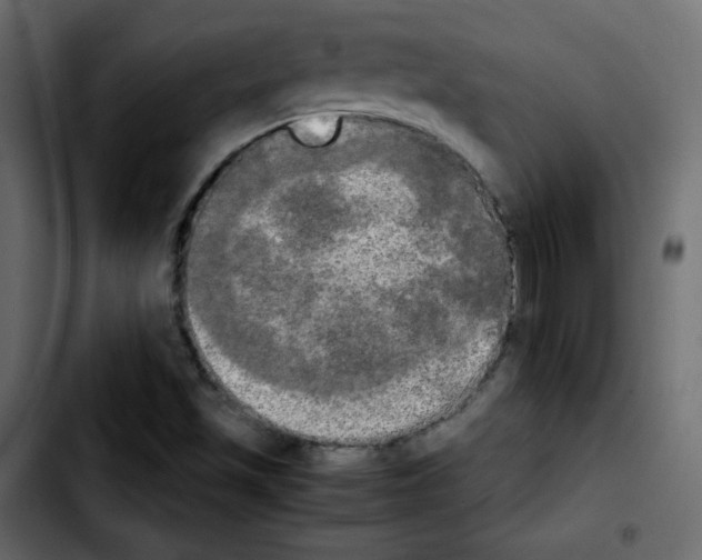 X0000103901501200810311357