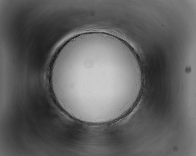 X0000103901502200810311357