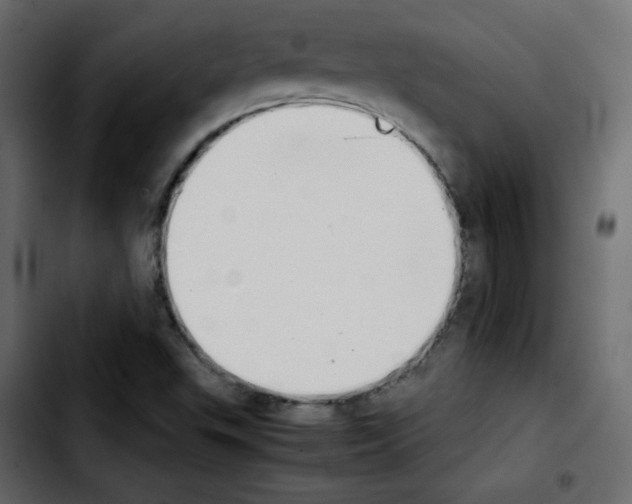 X0000103901503200810311357