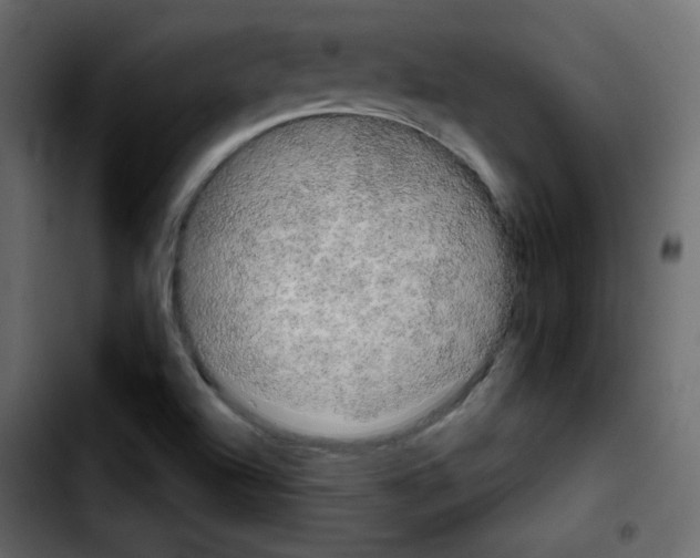 X0000103901504200810311357