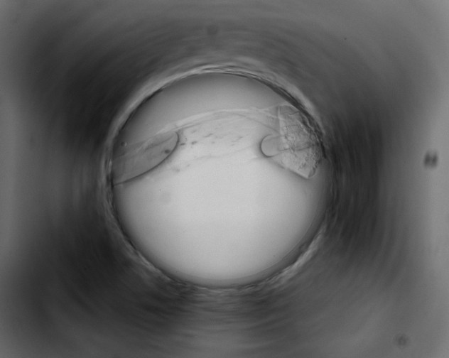 X0000103901506200810311357