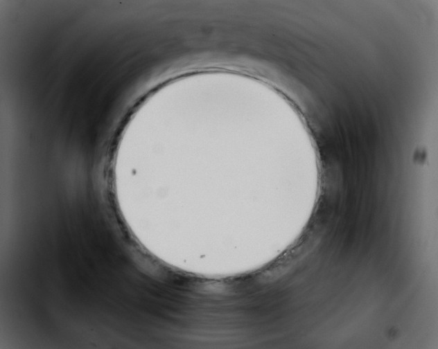 X0000103901507200810311357