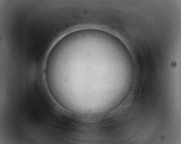 X0000103901508200810311357