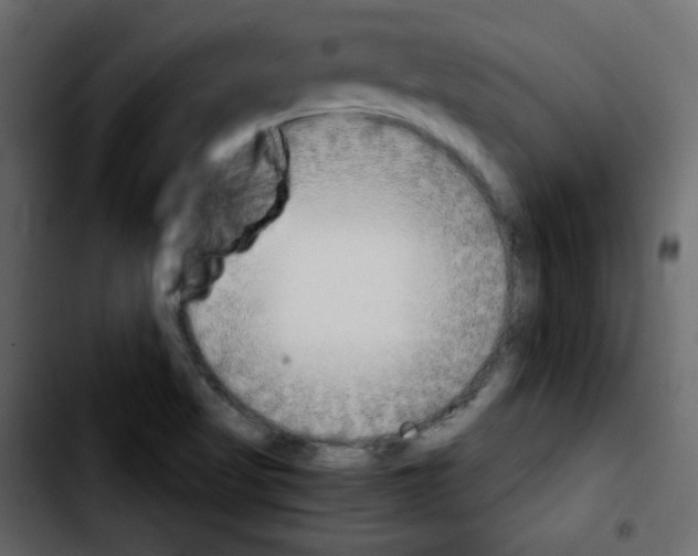 X0000103901509200810311357