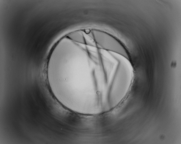 X0000103901510200810311357