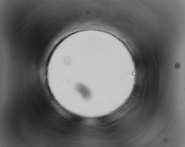 X0000103901511200810311357