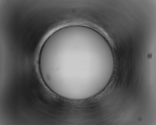 X0000103901512200810311357