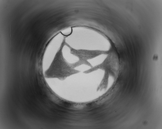 X0000103901513200810311357