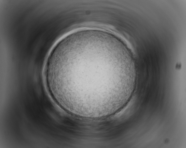 X0000103901514200810311357