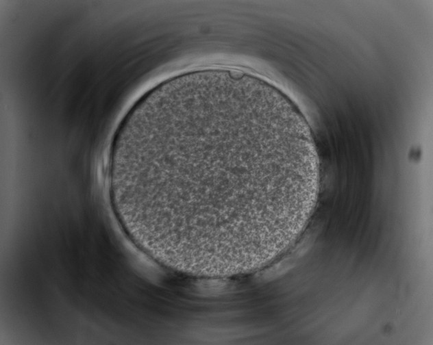 X0000103901515200810311357