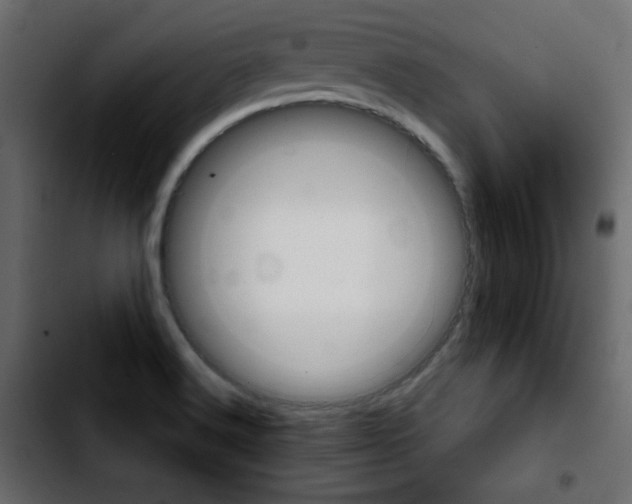 X0000103901516200810311357