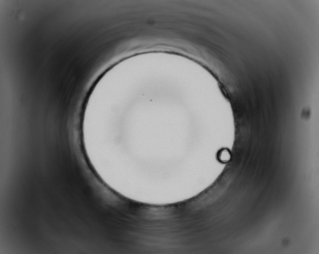 X0000103901518200810311358