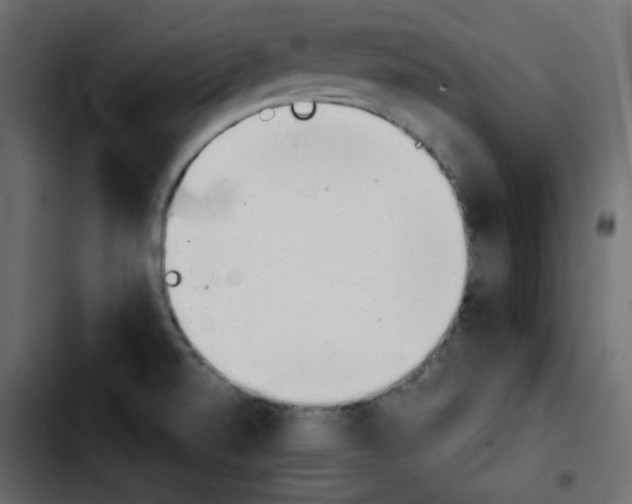 X0000103901520200810311358