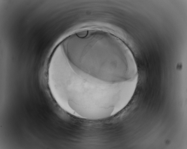 X0000103901522200810311358