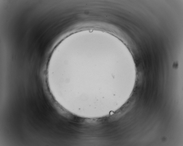 X0000103901523200810311358