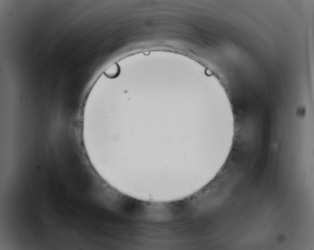 X0000103901524200810311358