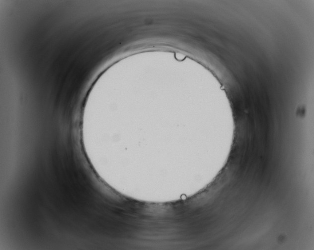 X0000103901526200810311358