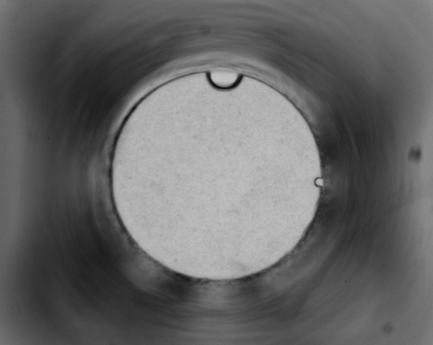 X0000103901530200810311358