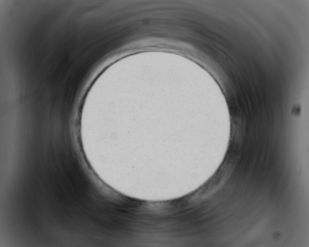 X0000103901531200810311358