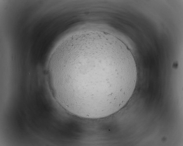 X0000103901532200810311358