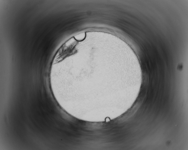 X0000103901533200810311358